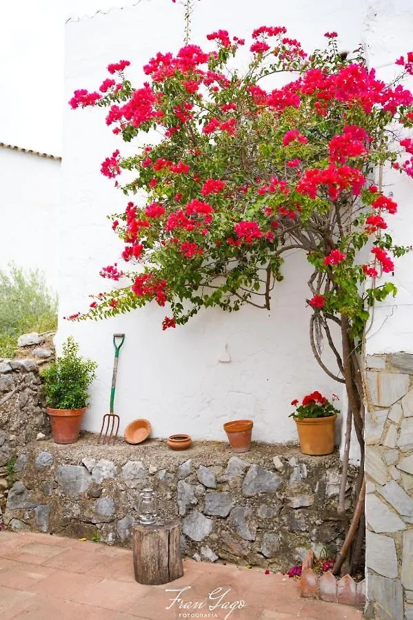 Casa Familiar El Tejar Villa Benaocaz Holiday home